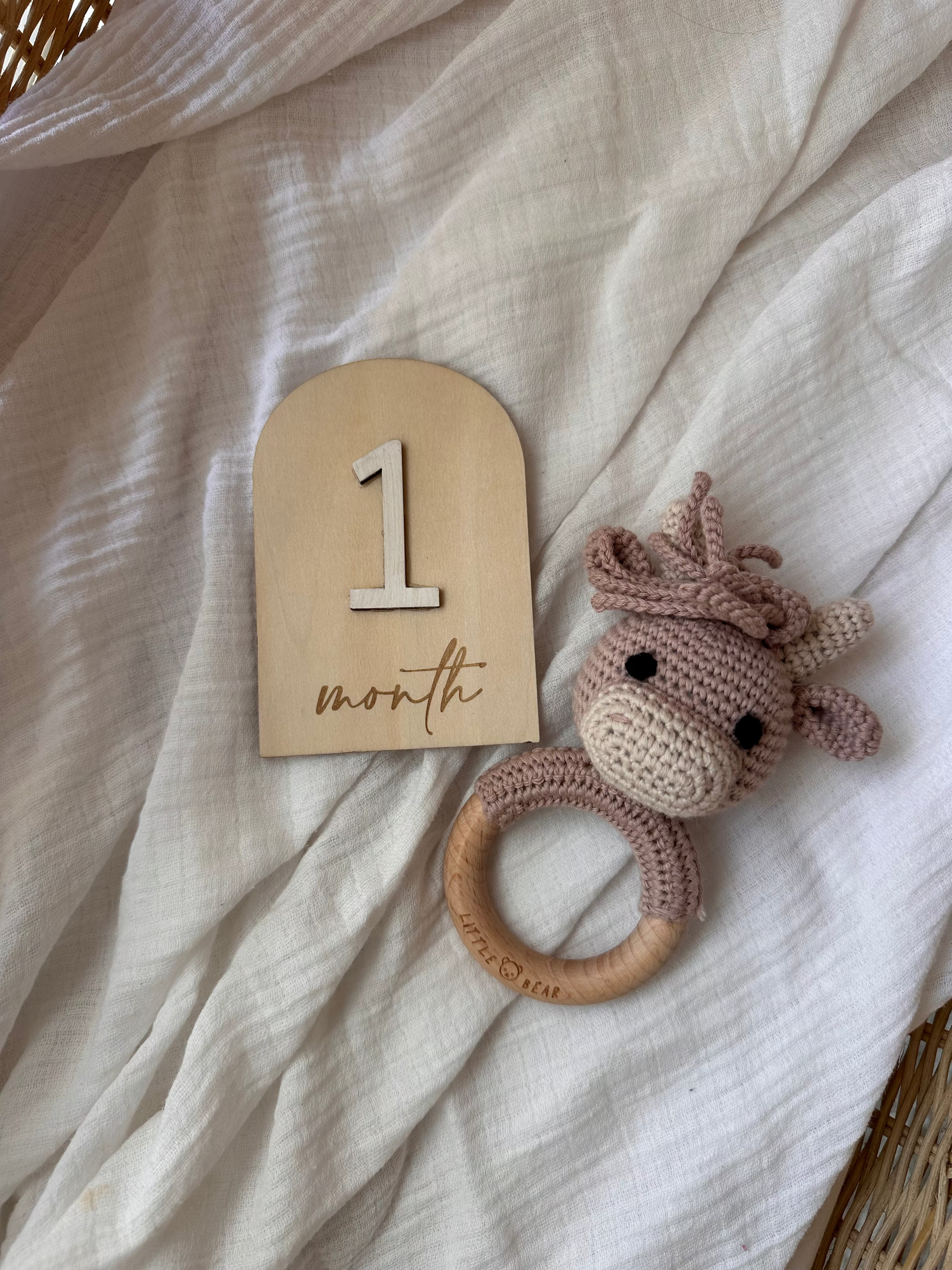 3D Baby Milestone Cards