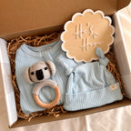Koala Cuddles Box