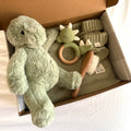 Dino Dreams Box