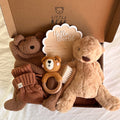 Little Bear Box
