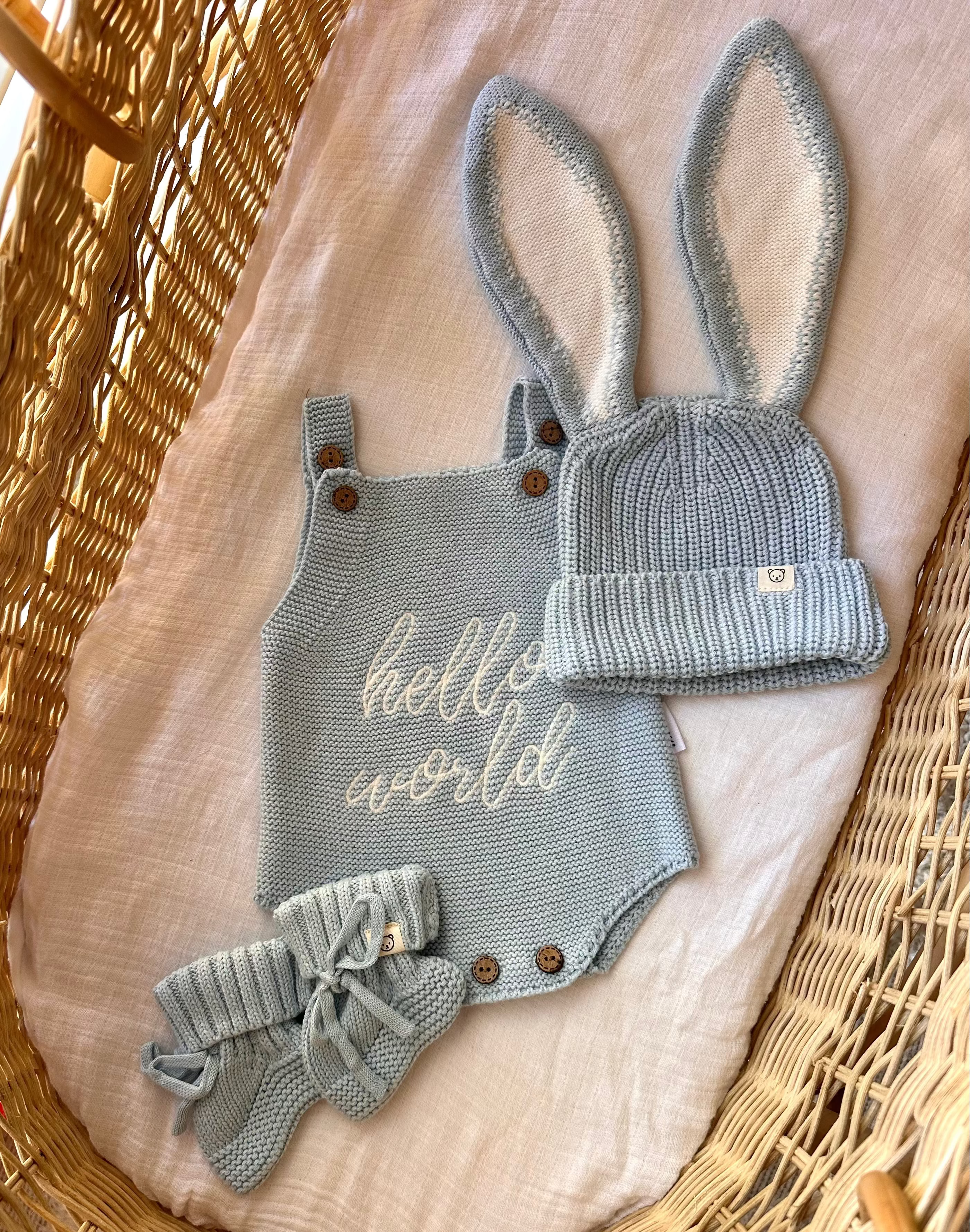 Blue "Hello World" Bunny Bundle