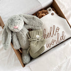 Little Bunny Box