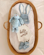 Hoppy Little Love Box - Blue