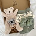 Cuddly Koala Box