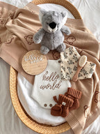 Koala & Cub Box