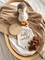 Little Penguin's Welcome Box