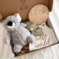 Cuddly Koala Box