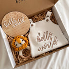 Little Lion Box